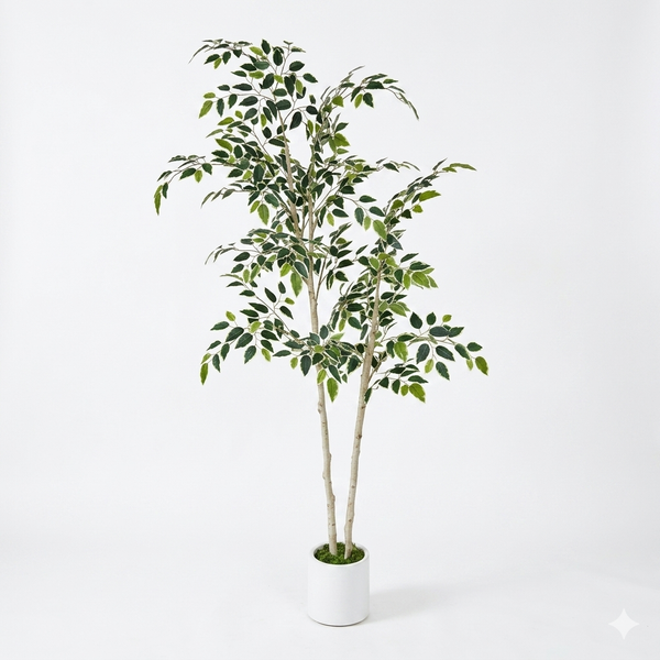 Ficus Benjamina Artificiel Panaché - 160cm