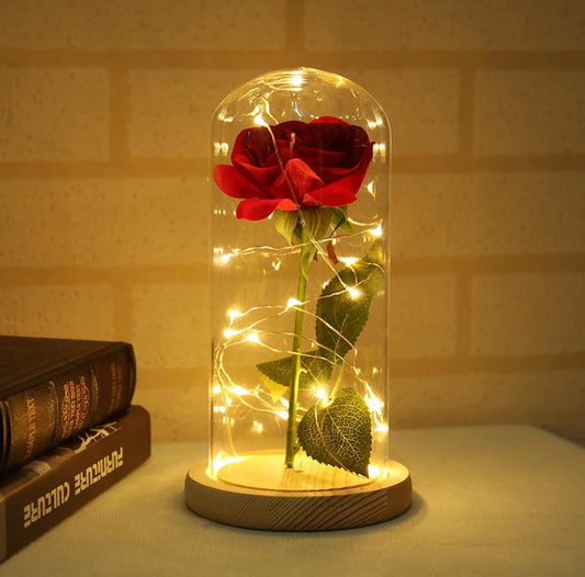 ROSE ETERNELLE